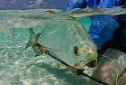 Rybaření Seychely